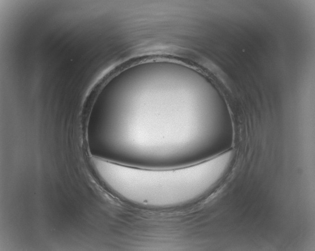 X0000062931069200601131108