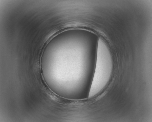 X0000062931073200601131108