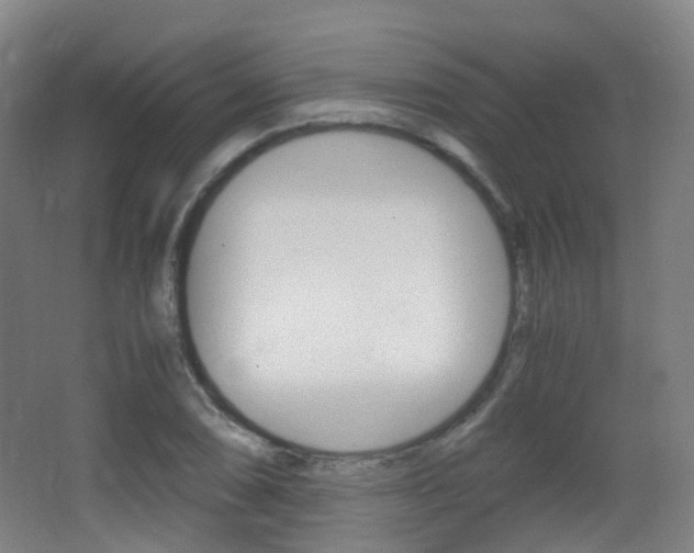 X0000062931074200601131108