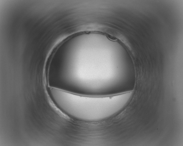 X0000062931080200601131108