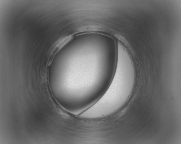 X0000062931081200601131108