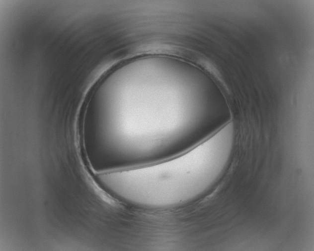 X0000062931082200601131108