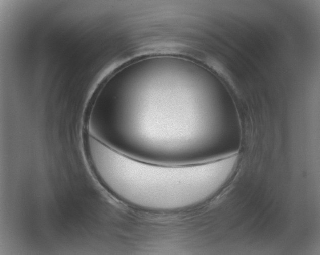 X0000062931085200601131108