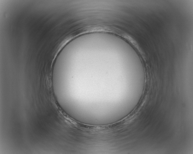 X0000062931097200601131107