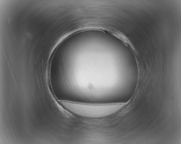 X0000062931101200601131107