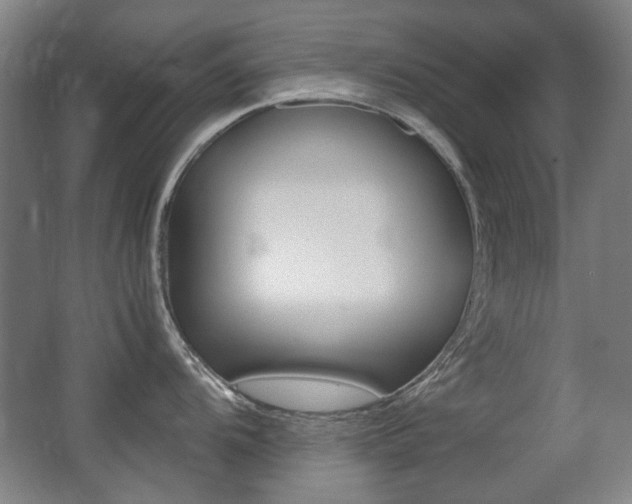 X0000062931104200601131107