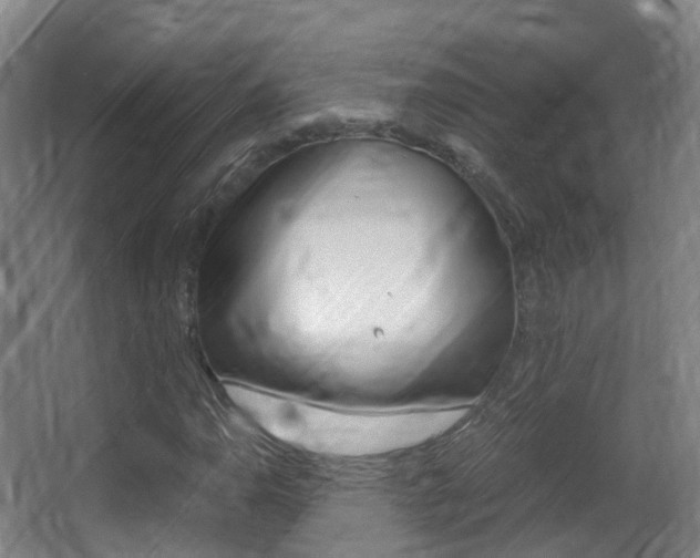 X0000062931110200601131107