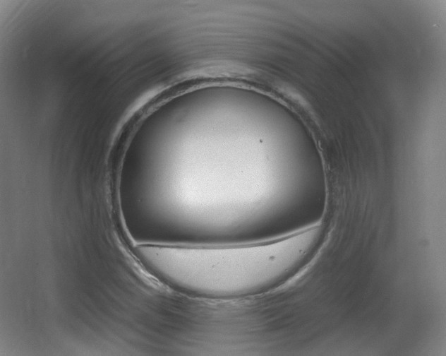 X0000062931114200601131107