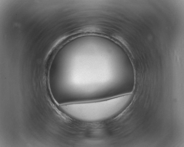 X0000062931115200601131107