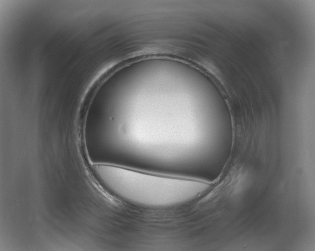 X0000062931119200601131107