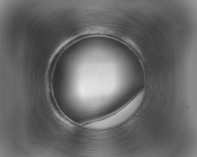 X0000062931120200601131107