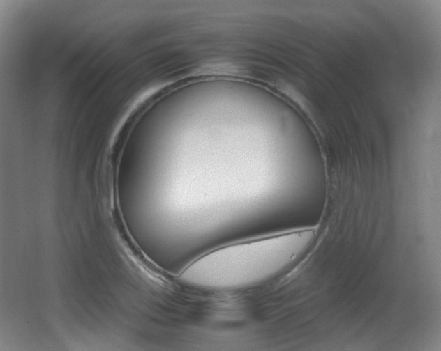 X0000062931123200601131107