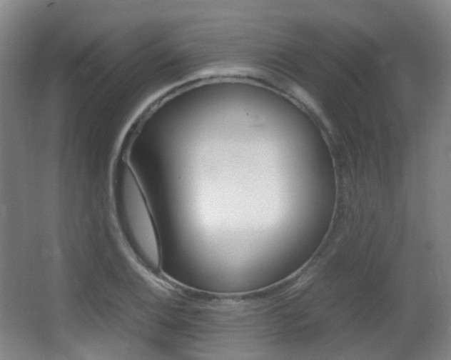 X0000062931124200601131107