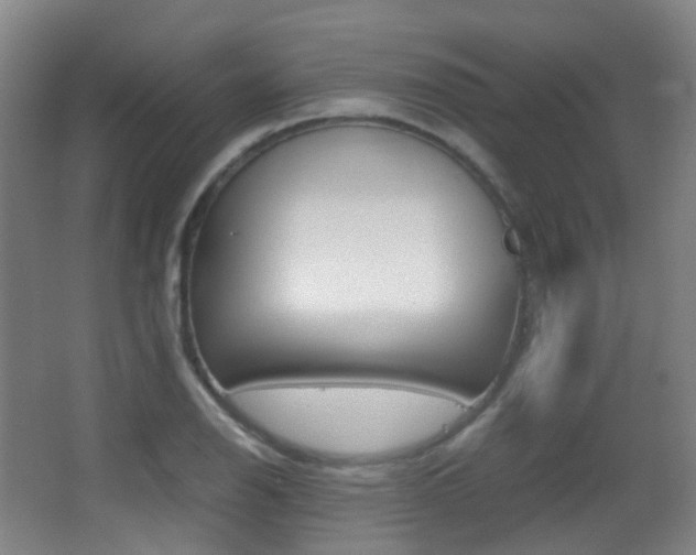 X0000062931126200601131107