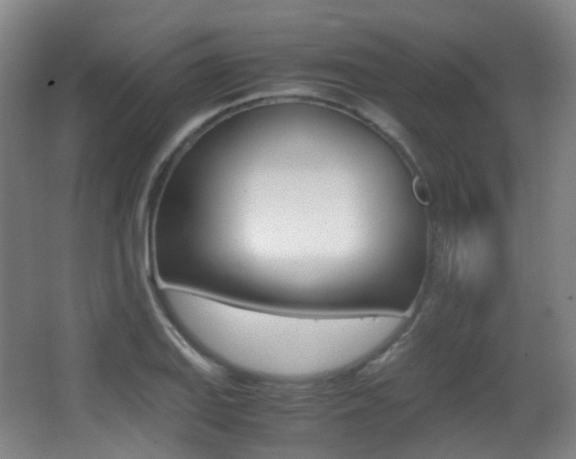 X0000062931127200601131107