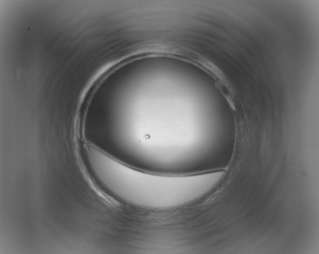 X0000062931128200601131107