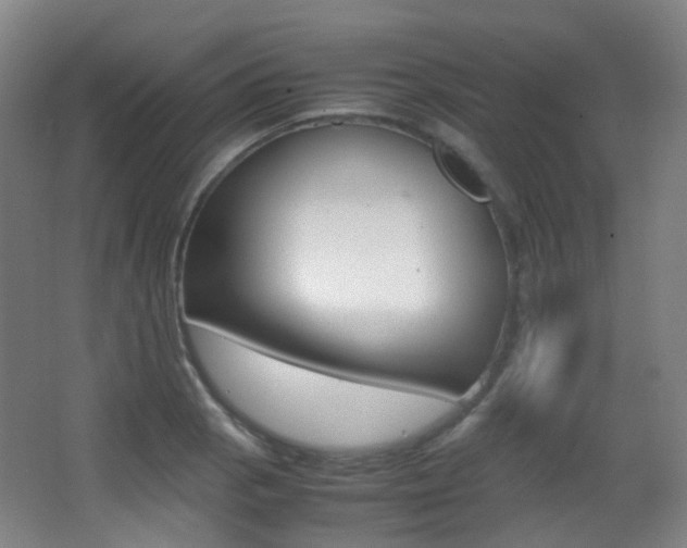 X0000062931129200601131107