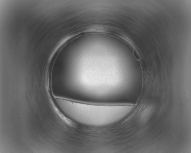 X0000062931131200601131107