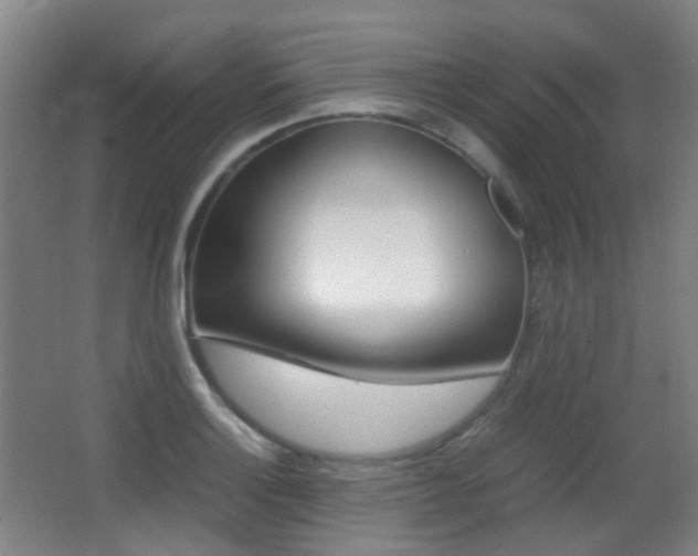 X0000062931132200601131107