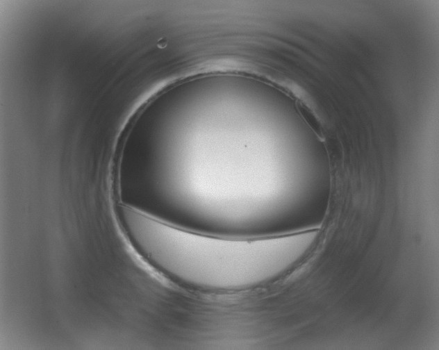 X0000062931134200601131107