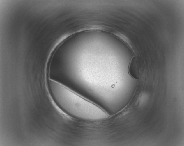 X0000062931135200601131107