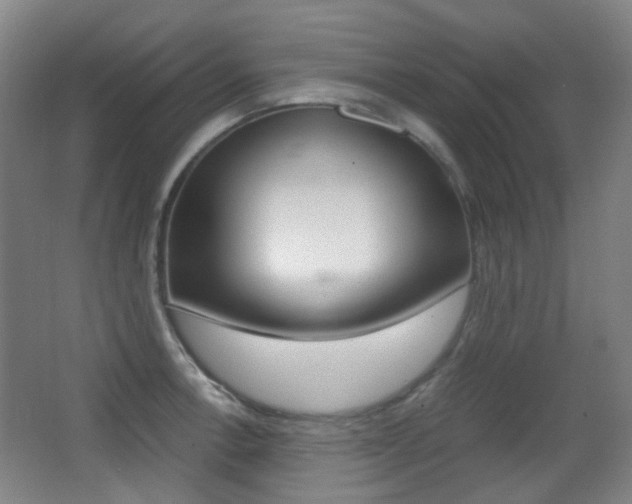 X0000062931138200601131107