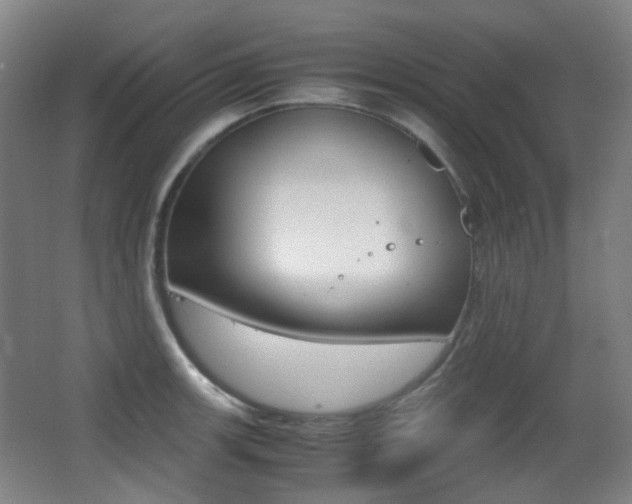 X0000062931139200601131107
