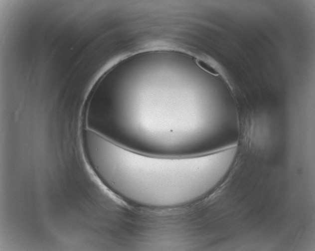 X0000062931142200601131107