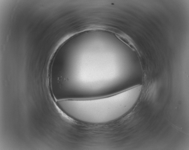 X0000062931143200601131107