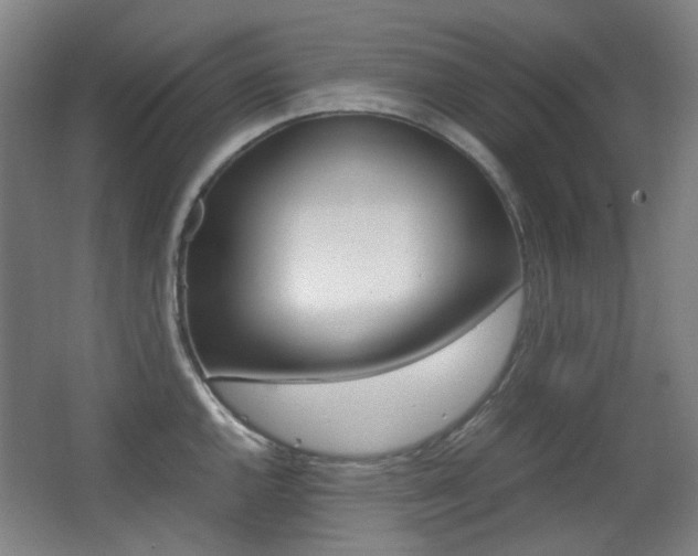 X0000062931144200601131107
