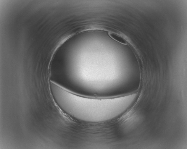 X0000062931145200601131107