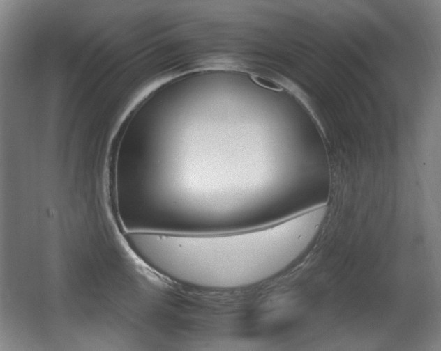 X0000062931147200601131107