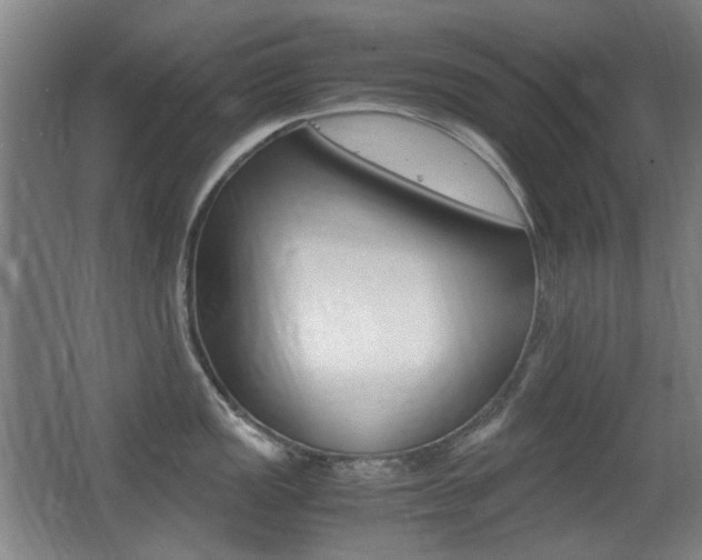 X0000062931149200601131107