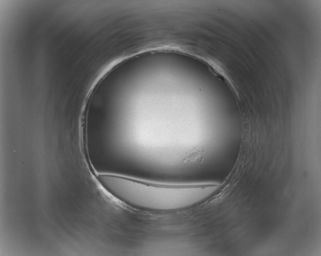 X0000062931151200601131107