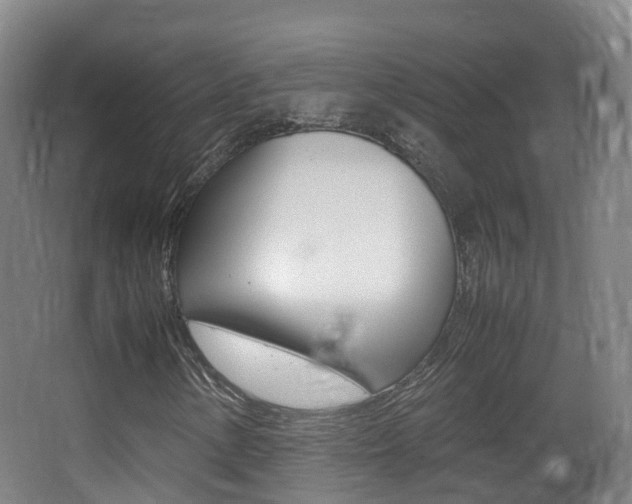 X0000062931154200601131106