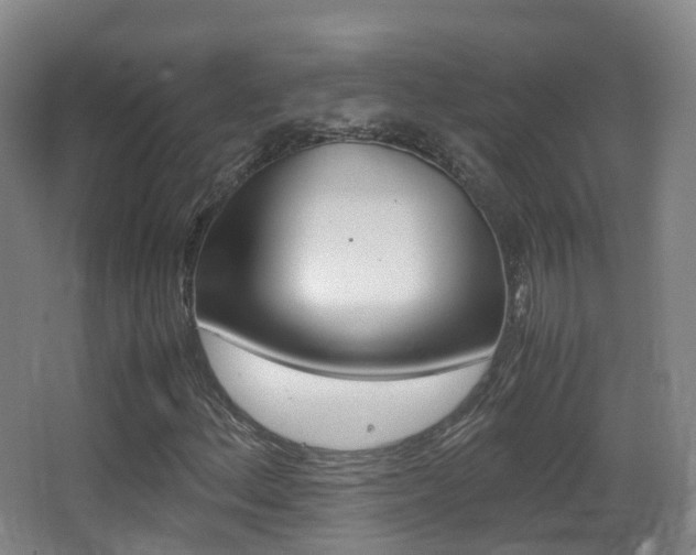 X0000062931156200601131106