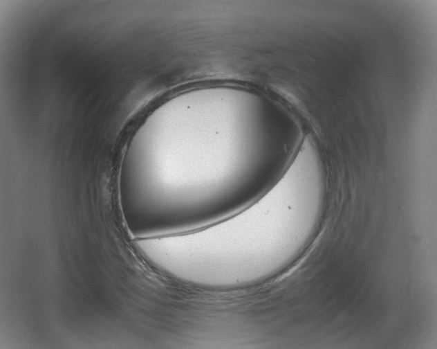 X0000062931163200601131106