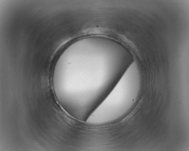 X0000062931166200601131106