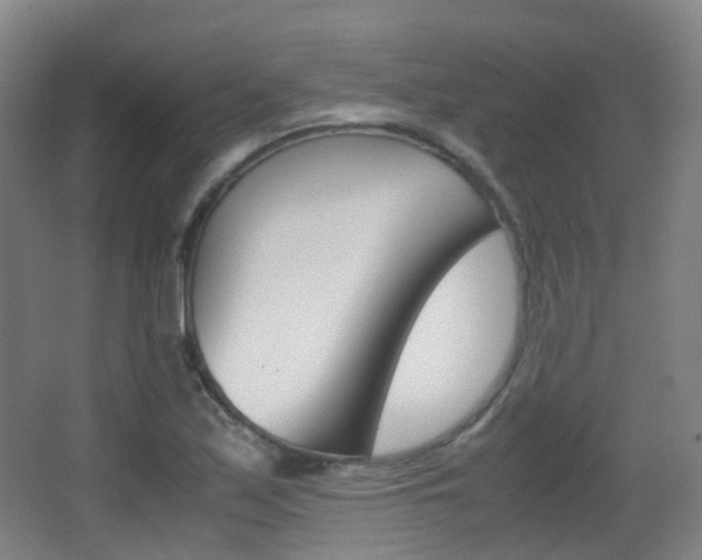X0000062931171200601131106
