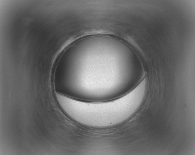 X0000062931173200601131106