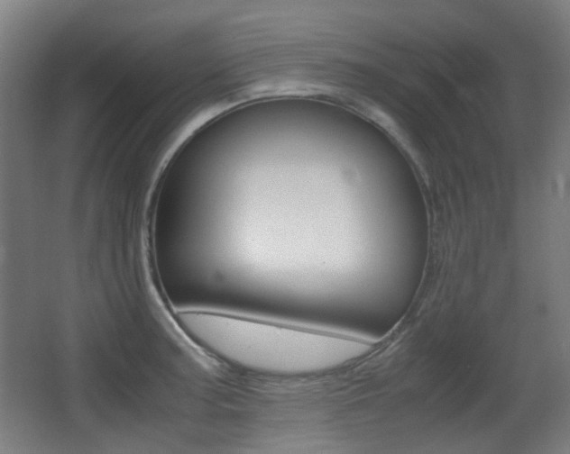 X0000062931187200601131106