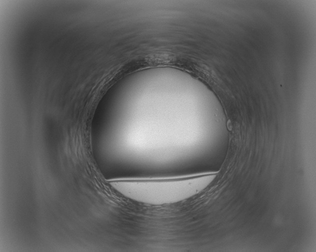 X0000062931201200601131105