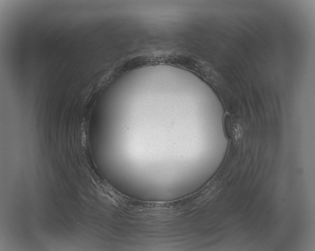 X0000062931204200601131105