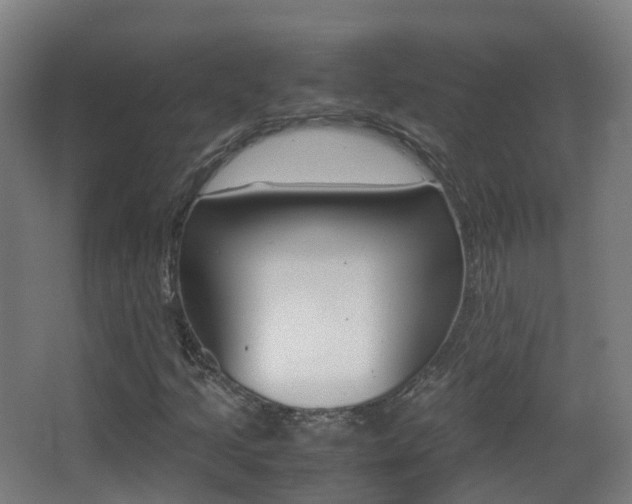 X0000062931205200601131105