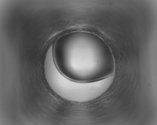 X0000062931206200601131105