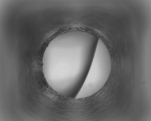 X0000062931207200601131105