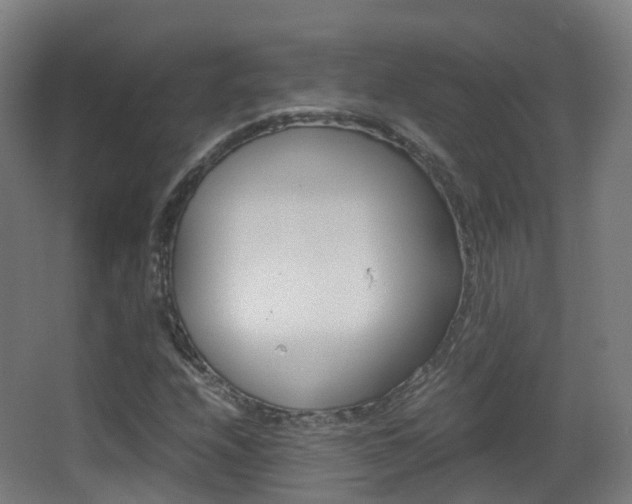 X0000062931208200601131105