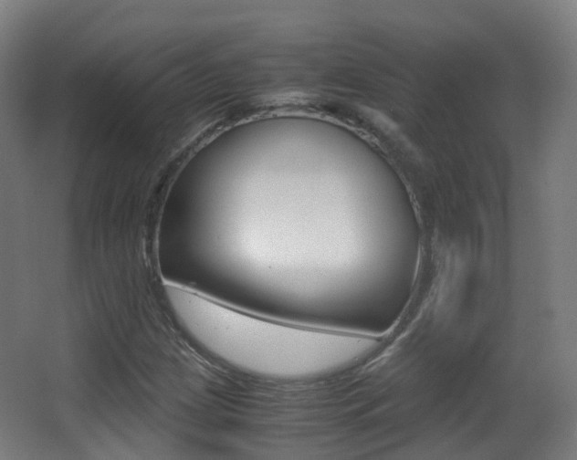 X0000062931209200601131105