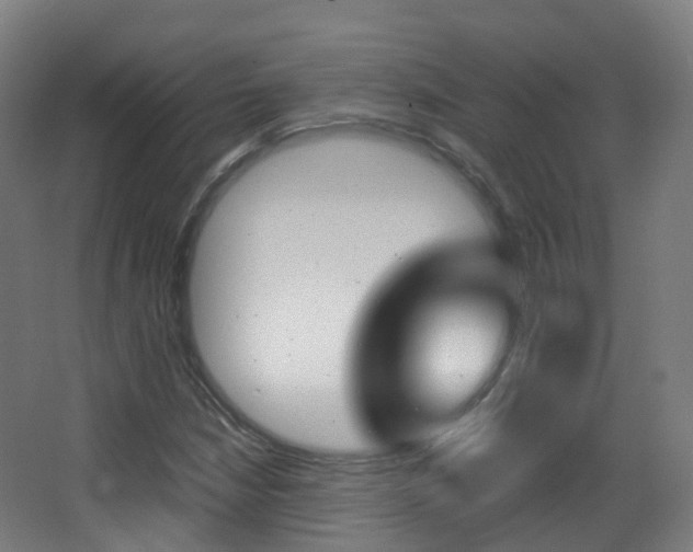 X0000062931210200601131105