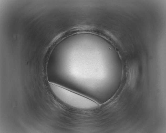 X0000062931213200601131105
